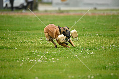 Indy vom Causa Nostre Letitia