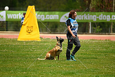 Indy vom Causa Nostre Letitia