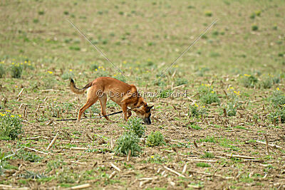 Infinity vom blauen Mistral
