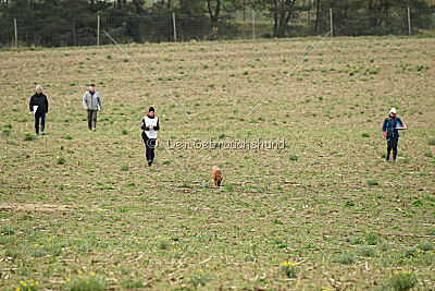 Infinity vom blauen Mistral