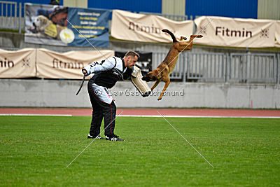 Infinity vom blauen Mistral