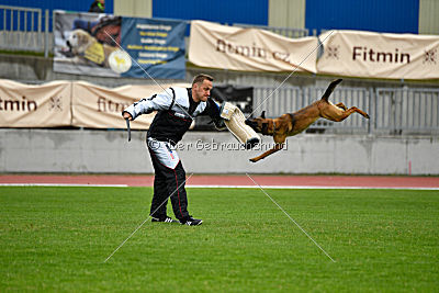Infinity vom blauen Mistral