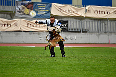 Infinity vom blauen Mistral