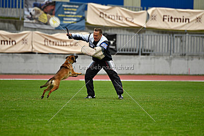 Infinity vom blauen Mistral