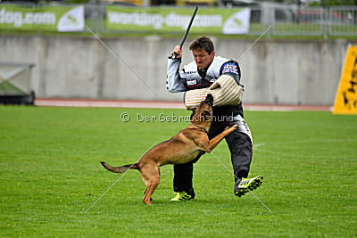 Infinity vom blauen Mistral