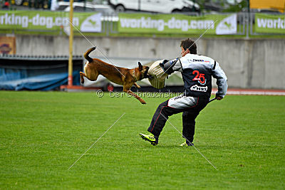 Infinity vom blauen Mistral