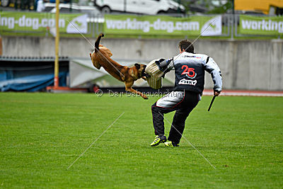 Infinity vom blauen Mistral