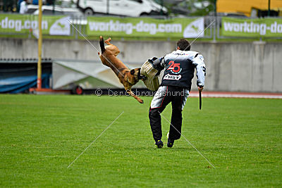 Infinity vom blauen Mistral