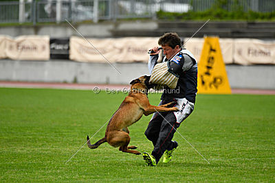 Infinity vom blauen Mistral