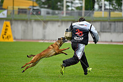 Infinity vom blauen Mistral