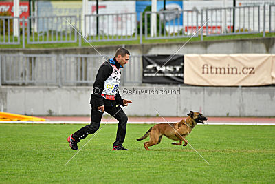 Infinity vom blauen Mistral