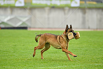 Infinity vom blauen Mistral