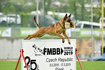 Infinity vom blauen Mistral