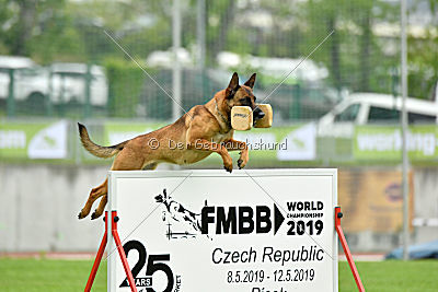 Infinity vom blauen Mistral