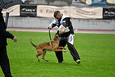 Infinity vom blauen Mistral