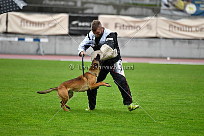 Infinity vom blauen Mistral