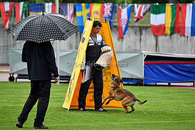 Infinity vom blauen Mistral