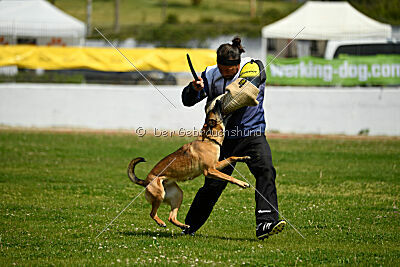 Infinity vom blauen Mistral