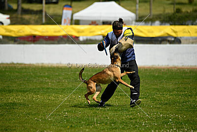 Infinity vom blauen Mistral