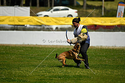 Infinity vom blauen Mistral