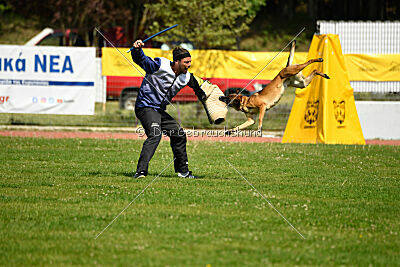 Infinity vom blauen Mistral