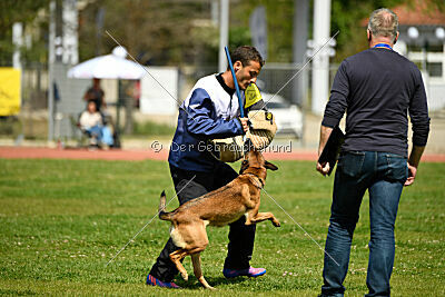 Infinity vom blauen Mistral