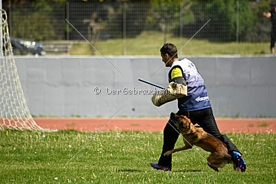 Infinity vom blauen Mistral