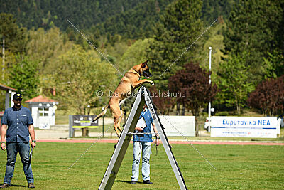 Infinity vom blauen Mistral