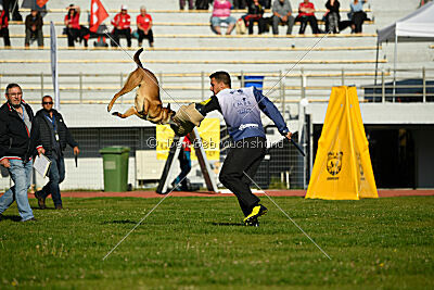 Infinity vom blauen Mistral