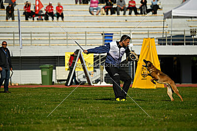 Infinity vom blauen Mistral