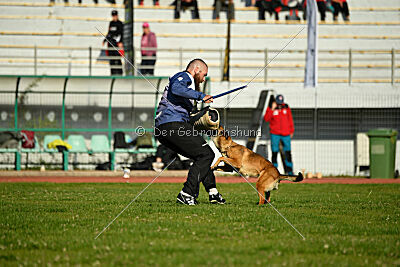 Infinity vom blauen Mistral