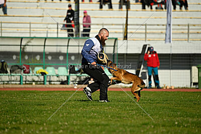 Infinity vom blauen Mistral