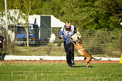 Infinity vom blauen Mistral