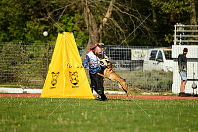 Infinity vom blauen Mistral