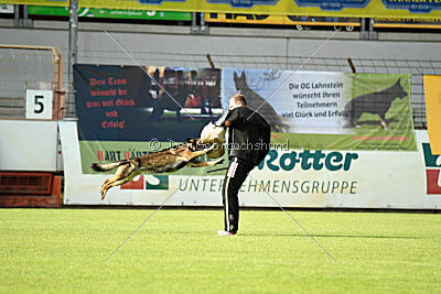 Inge von der Basileia