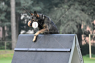 Inge von der Basileia