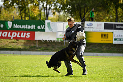 Ingo vom Weinbergblick