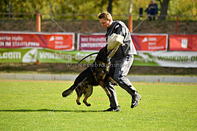 Ingo vom Weinbergblick