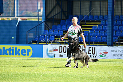 Insane Thunder von Hügelblick