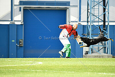 Insane Thunder von Hügelblick