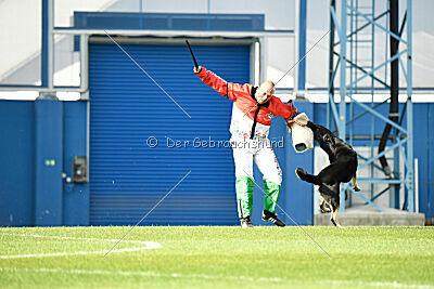 Insane Thunder von Hügelblick