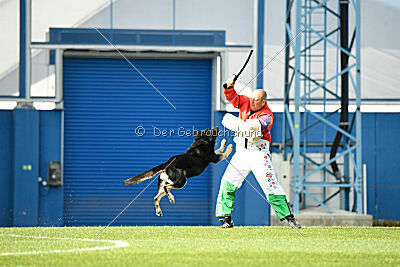 Insane Thunder von Hügelblick