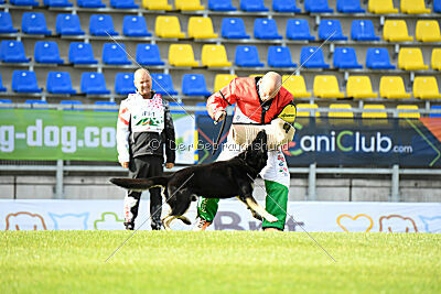 Insane Thunder von Hügelblick