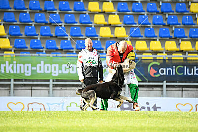 Insane Thunder von Hügelblick