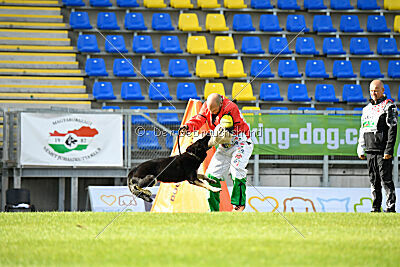 Insane Thunder von Hügelblick
