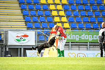 Insane Thunder von Hügelblick