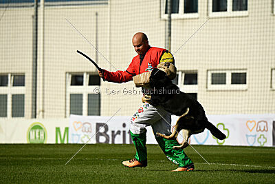 Insane Thunder von Hügelblick