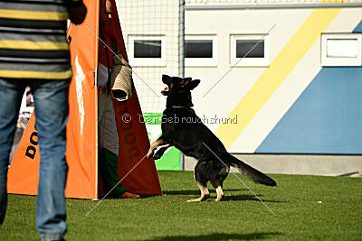 Insane Thunder von Hügelblick
