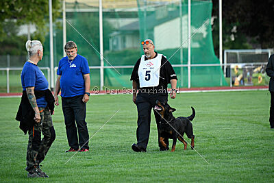 Ipet von den Wichtelhäusern