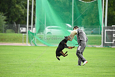 Ipet von den Wichtelhäusern